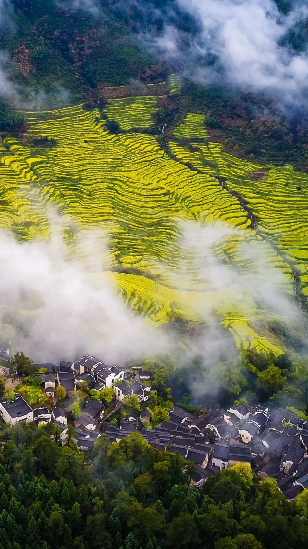江西美食制作入门攻略，江西特色美食深度探索指南